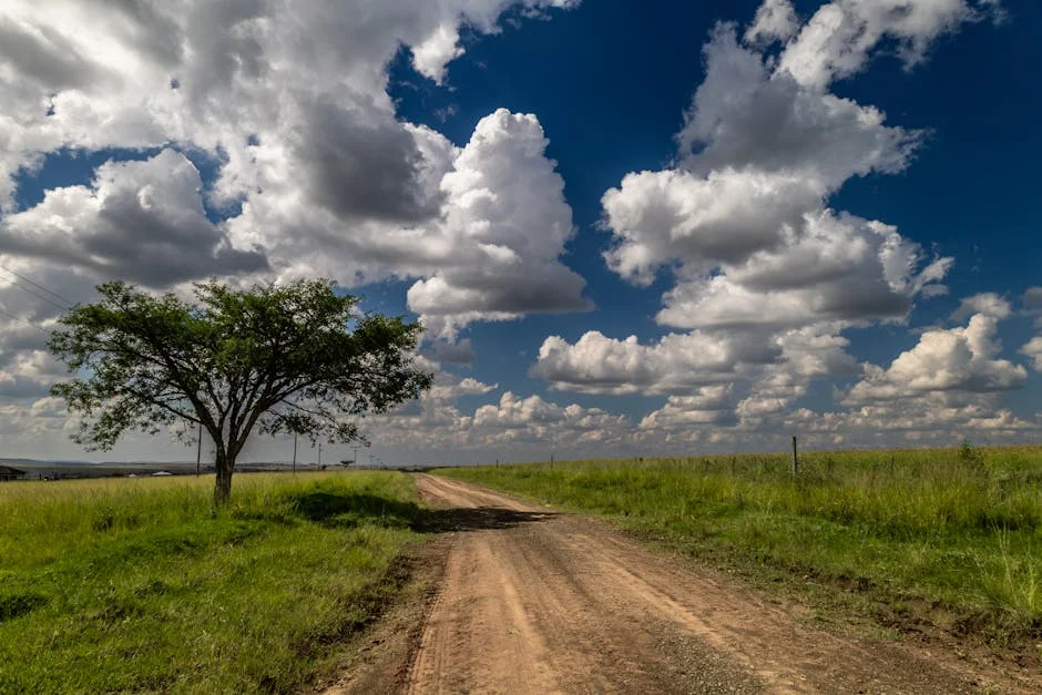 Vodacom Lifts Growth Targets as Safaricom Deal Nears — Environment Nature