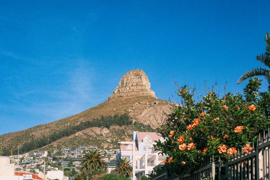 Which South African Suburbs Are Winning Over First-Time Buyers Right Now — Economy Business