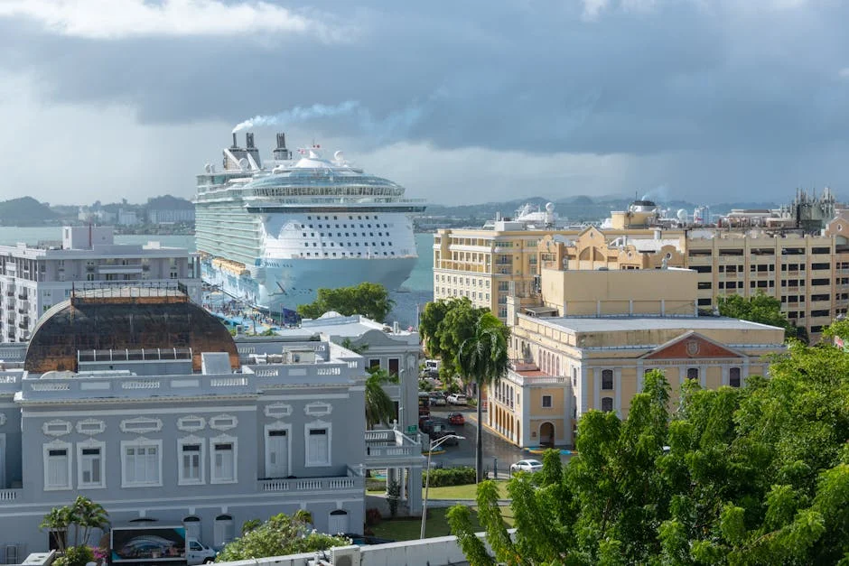 WHO Defies Panic: Cruise Ship Hantavirus Is Not 'Another Covid'