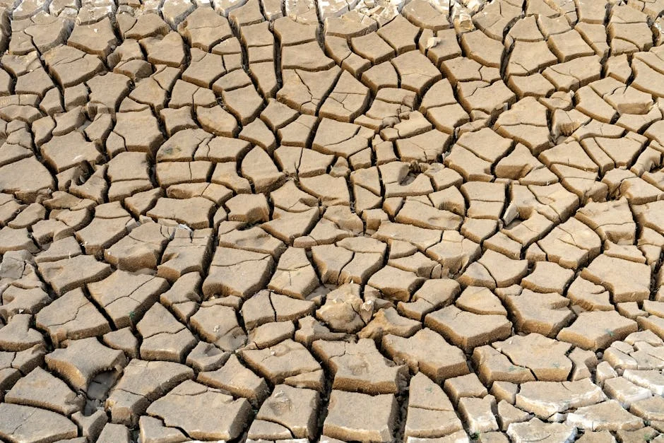 Yara Warns of African Food Crisis as Iran Conflict Escalates — Politics Governance
