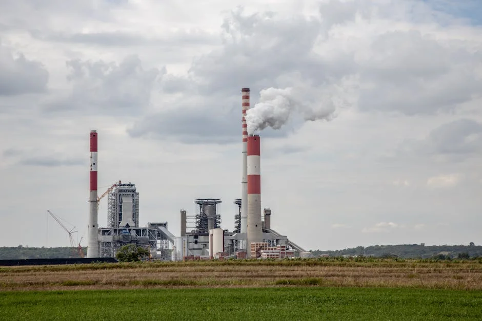 Zimbabwe Blends Diesel with Ethanol to Slash Fuel Costs — Politics Governance