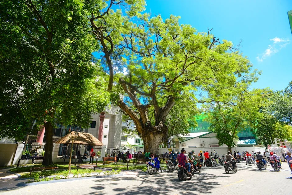 Zimbabwe’s Skills Week Drives Tourism Surge — A Model for Africa — Economy Business